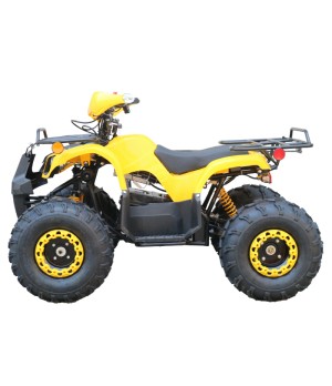 Quad Mini Quad Elettrico Compatto Motors E-ATV 1000w 48V Ruote 8 - Colore Giallo - Vista Laterale Sinistra