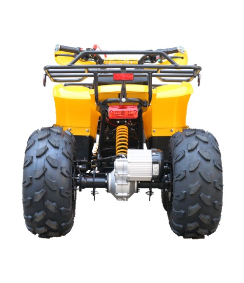 Quad Mini Quad Elettrico Compatto Motors E-ATV 1000w 48V Ruote 8 - Colore Giallo - Vista Posteriore