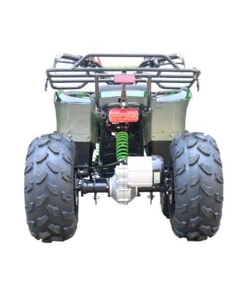 Quad Mini Quad Elettrico Compatto Motors E-ATV 1000w 48V Ruote 8 - Colore Verde - Vista Posteriore