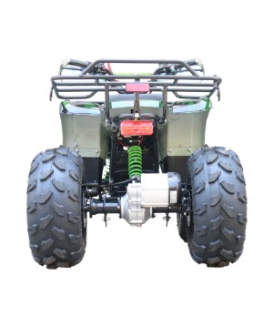 Quad Mini Quad Elettrico Compatto Motors E-ATV 1000w 48V Ruote 8 - Colore Verde - Vista Posteriore