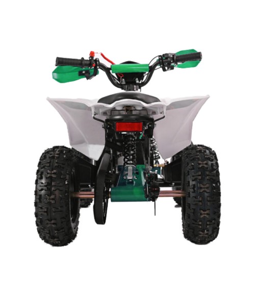 Mini Quad Elettrico Ztech E-Storm 1000W 36V Ruote 6 - Colore Verde - Vista Posteriore