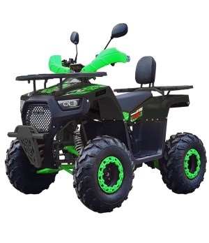 Quad NCX Angry 1500W R8 - Colore Verde - Vista Frontale Sinistra